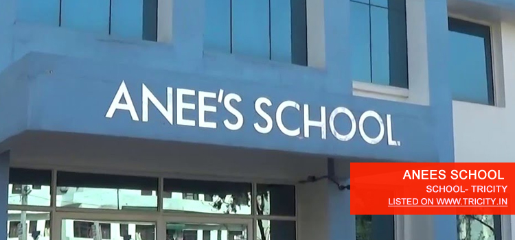 ANEES SCHOOL