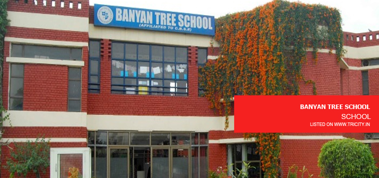 BANYAN TREE SCHOOL