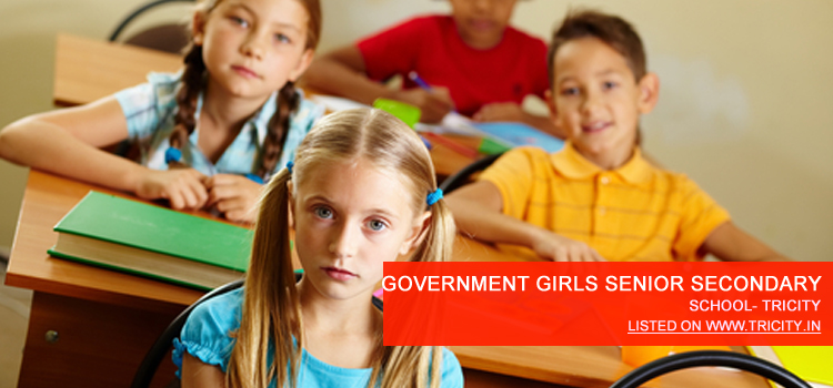 GOVERNMENT GIRLS SENIOR SECONDARY SCHOOL