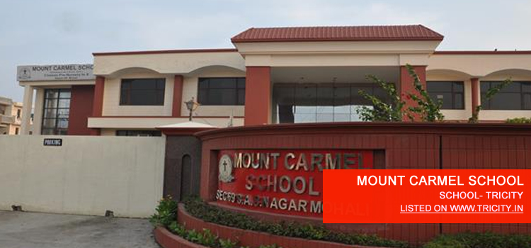 MOUNT CARMEL SCHOOL