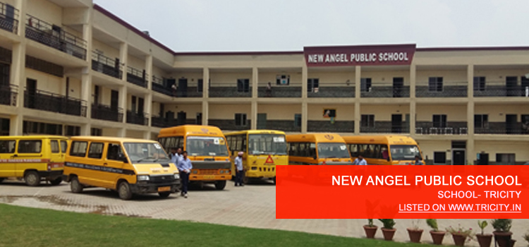 NEW ANGEL PUBLIC SCHOOL