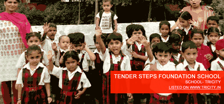 TENDER STEPS FOUNDATION SCHOOL