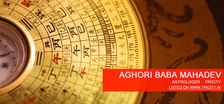 Aghori Baba Mahadev Chandigarh