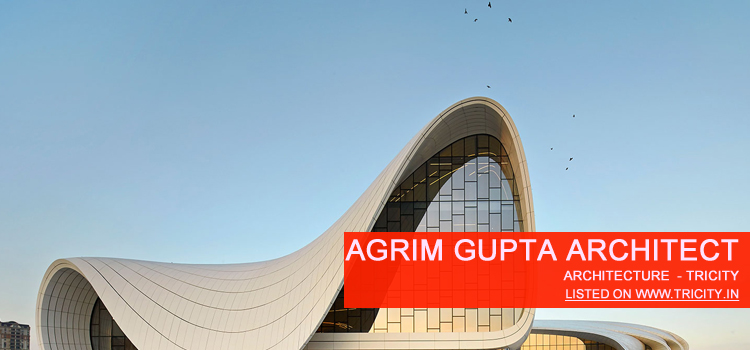 agrim gupta