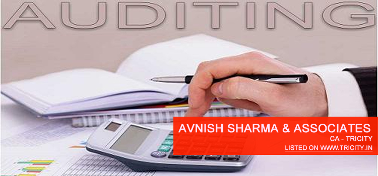 Avnish Sharma & Associates Chandigarh