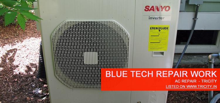 Blue Tech Repair Work Chandigarh