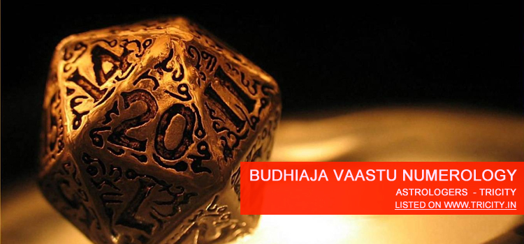Budhiaja Vaastu Numerology Chandigarh
