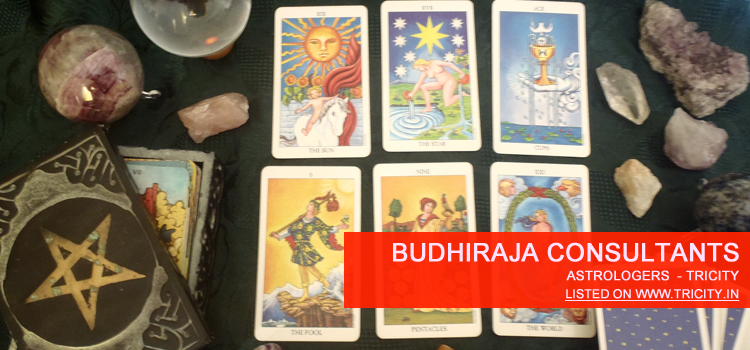 Budhiraja Consultants Chandigarh