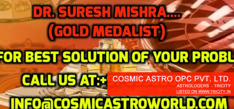 Cosmic Astro OPC Private Limited Mohali