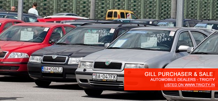 GILL PURCHASER & SALE
