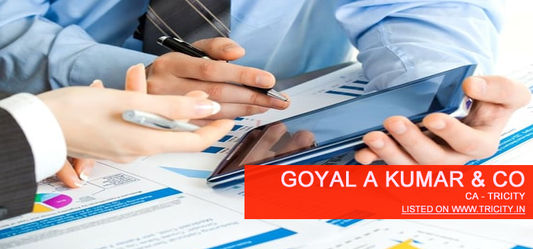 Goyal A Kumar & Co Chandigarh