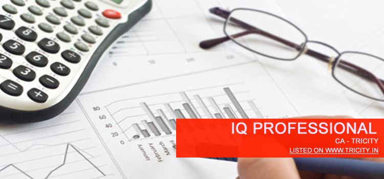IQ Professional Chandigarh