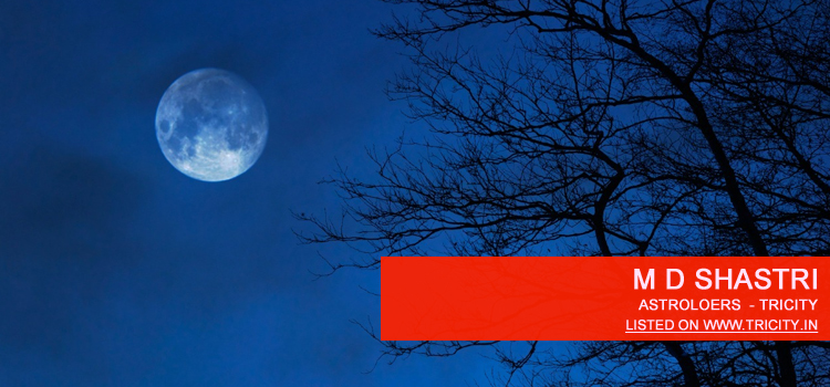 M D Shastri Chandigarh