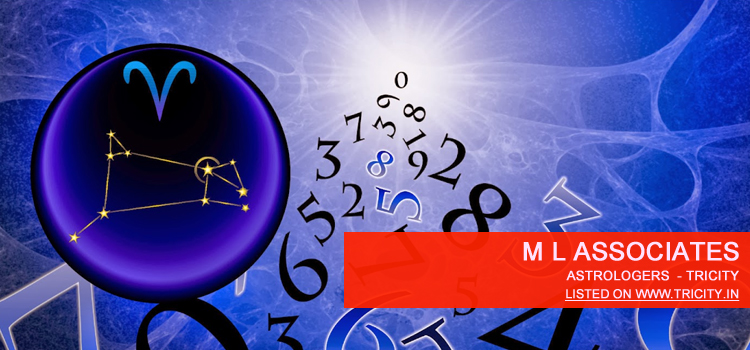 M L Associates Chandigarh