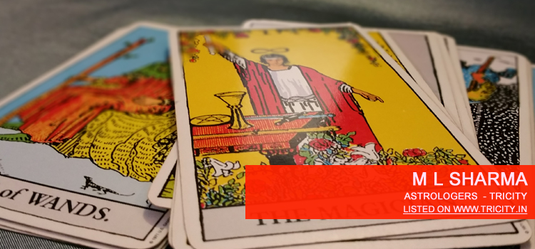 M L Sharma Chandigarh