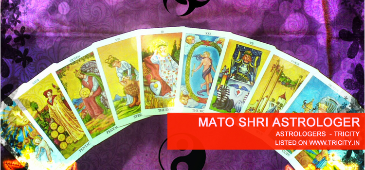 Mato Shri Astrologer Chandigarh