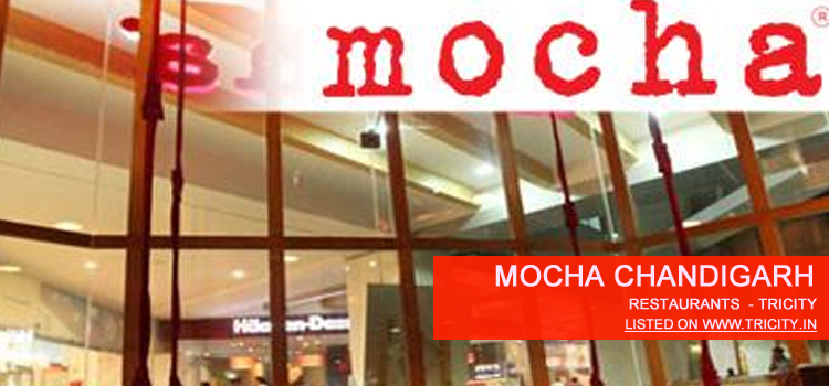 mocha chandigarh