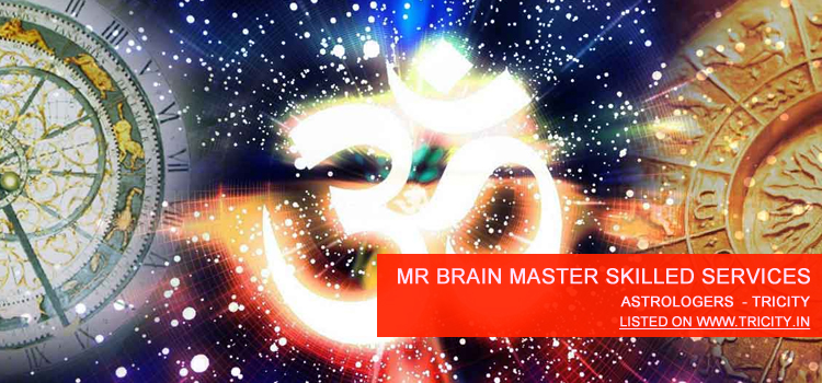 Mr Brain Master Skilled Services Pvt Ltd Chandigarh