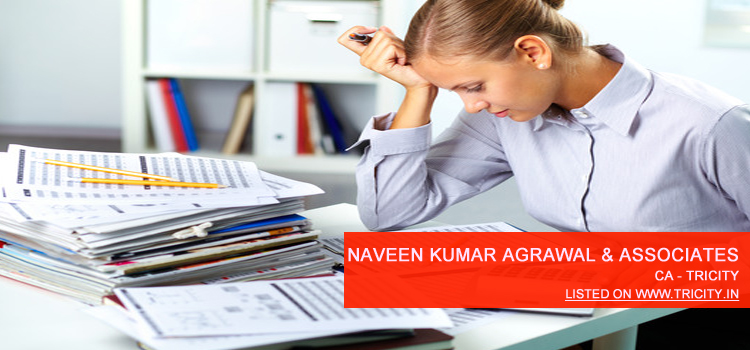 Naveen Kumar Agrawal & Associates Chandigarh