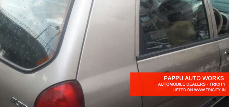 pappu-auto-works
