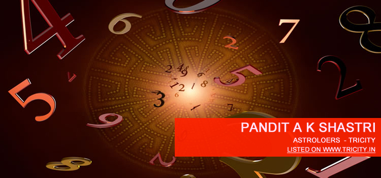 Pandit A K Shastri Chandigarh