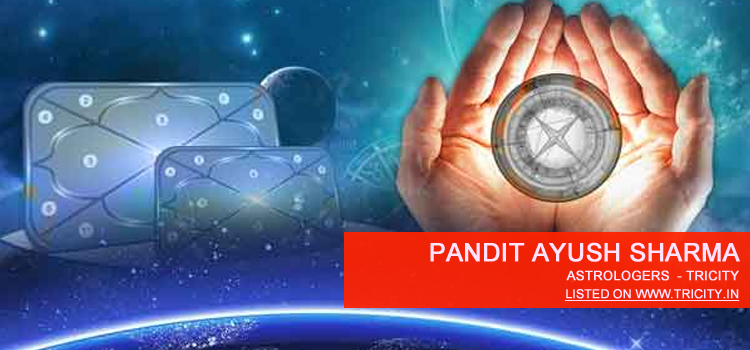 Pandit Ayush Sharma Chandigarh
