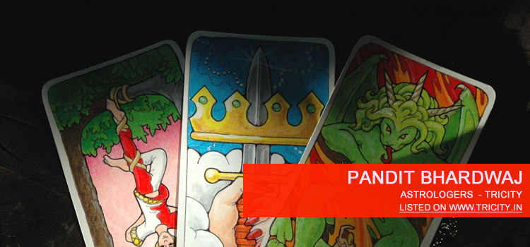 Pandit Bhardwaj Chandigarh