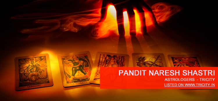 Pandit Naresh Shastri Chandigarh
