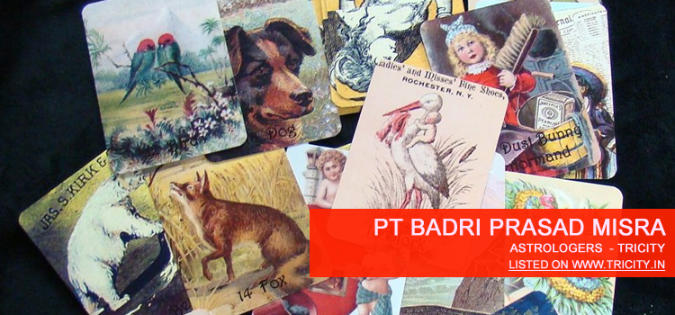 Pt Badri Prasad Misra Chandigarh