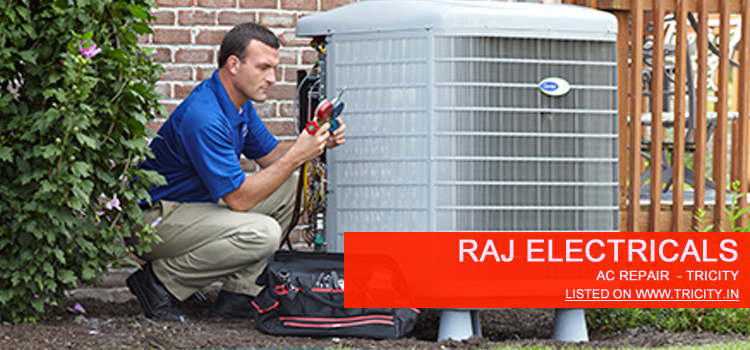 raj electricals