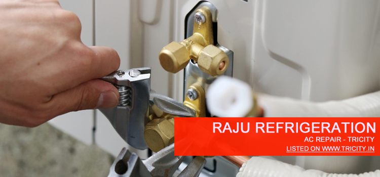 Raju Refrigeration Chandigarh