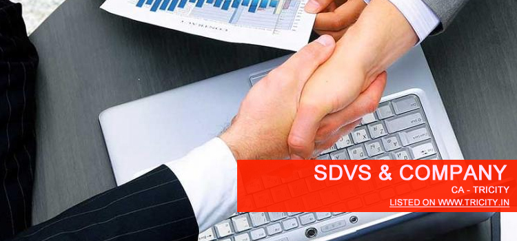 Sdvs & Company Chandigarh