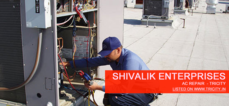 Shivalik Enterprises Chandigarh