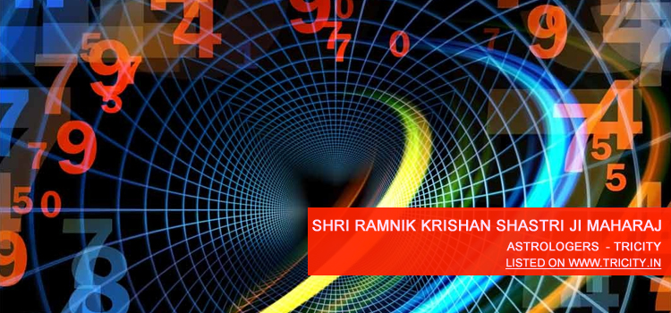 Shri Ramnik Krishan Shastri Ji Maharaj Chandigarh