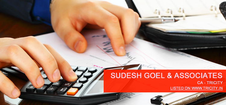 Sudesh Goel & Associates, Chartered Accounntants Chandigarh