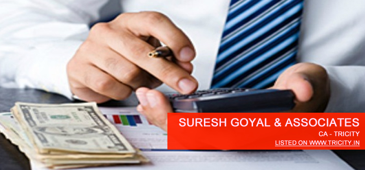 Suresh Goyal & Associates Chandigarh