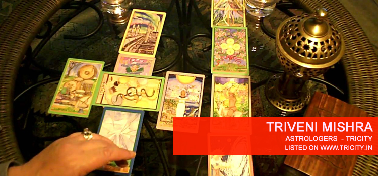 Triveni Mishra Chandigarh