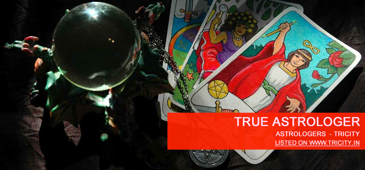 True Astrologer Chandigarh