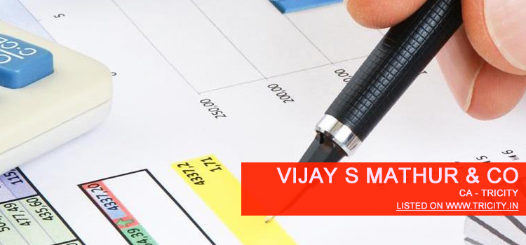 Vijay S Mathur & Co Chandigarh