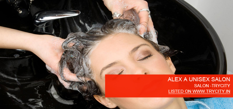 HAIR SCISSOR Unisex Saloon