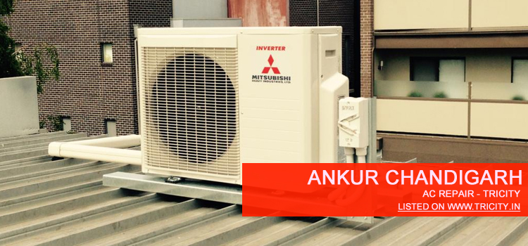Ankur Chandigarh