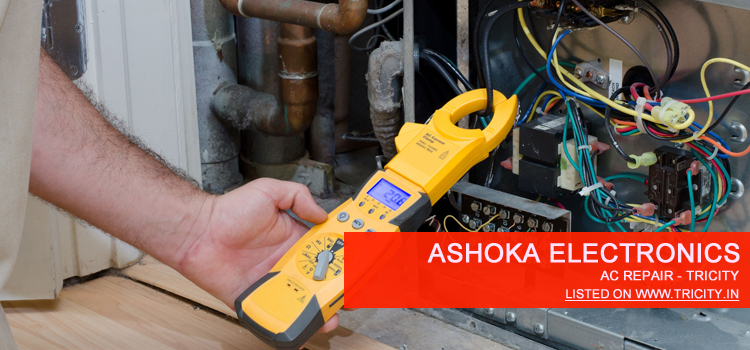 Ashoka Electronics