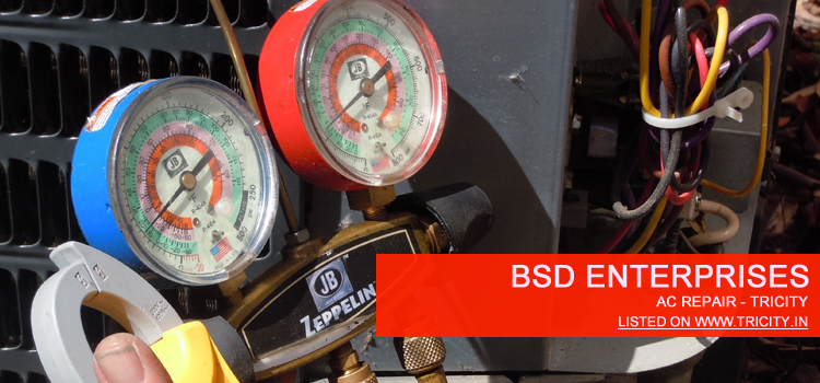 BSD Enterprises Mohali
