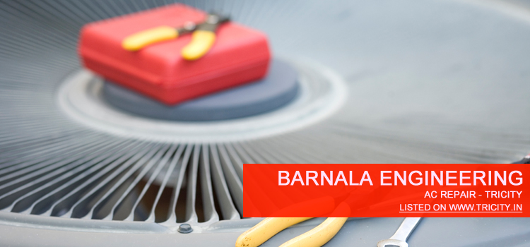 Barnala Engineering Mohali