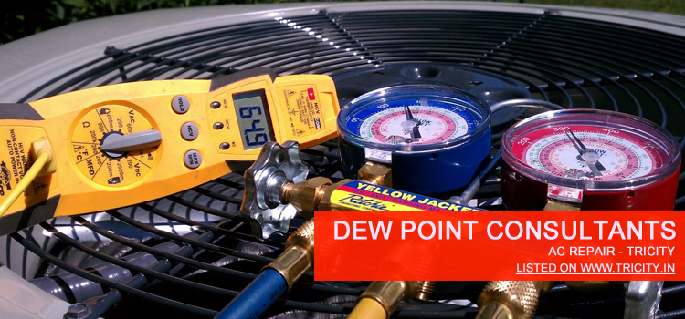 Dew Point Consultants