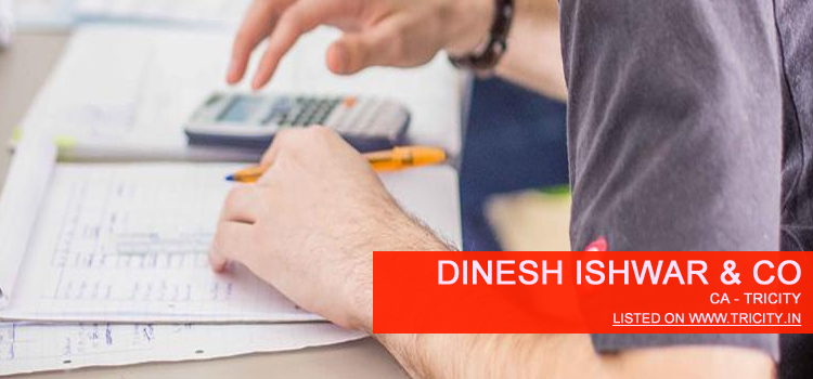 dinesh