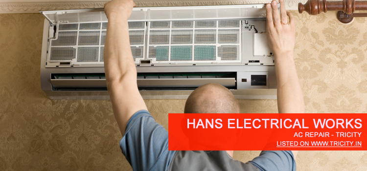 Hans Electrical Works