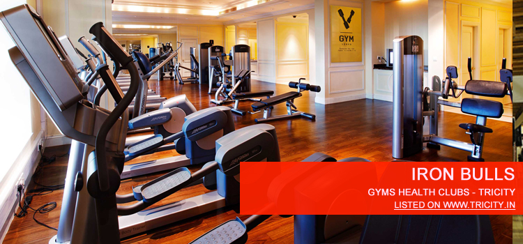 Iron Bulls panchkula