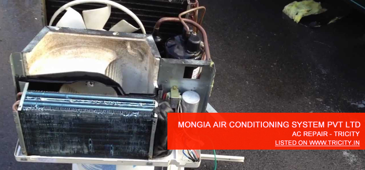 Mongia Air Conditioning System Pvt Ltd