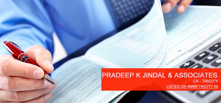 pardeep k jindal